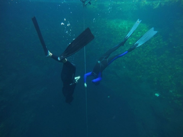 buceo libre